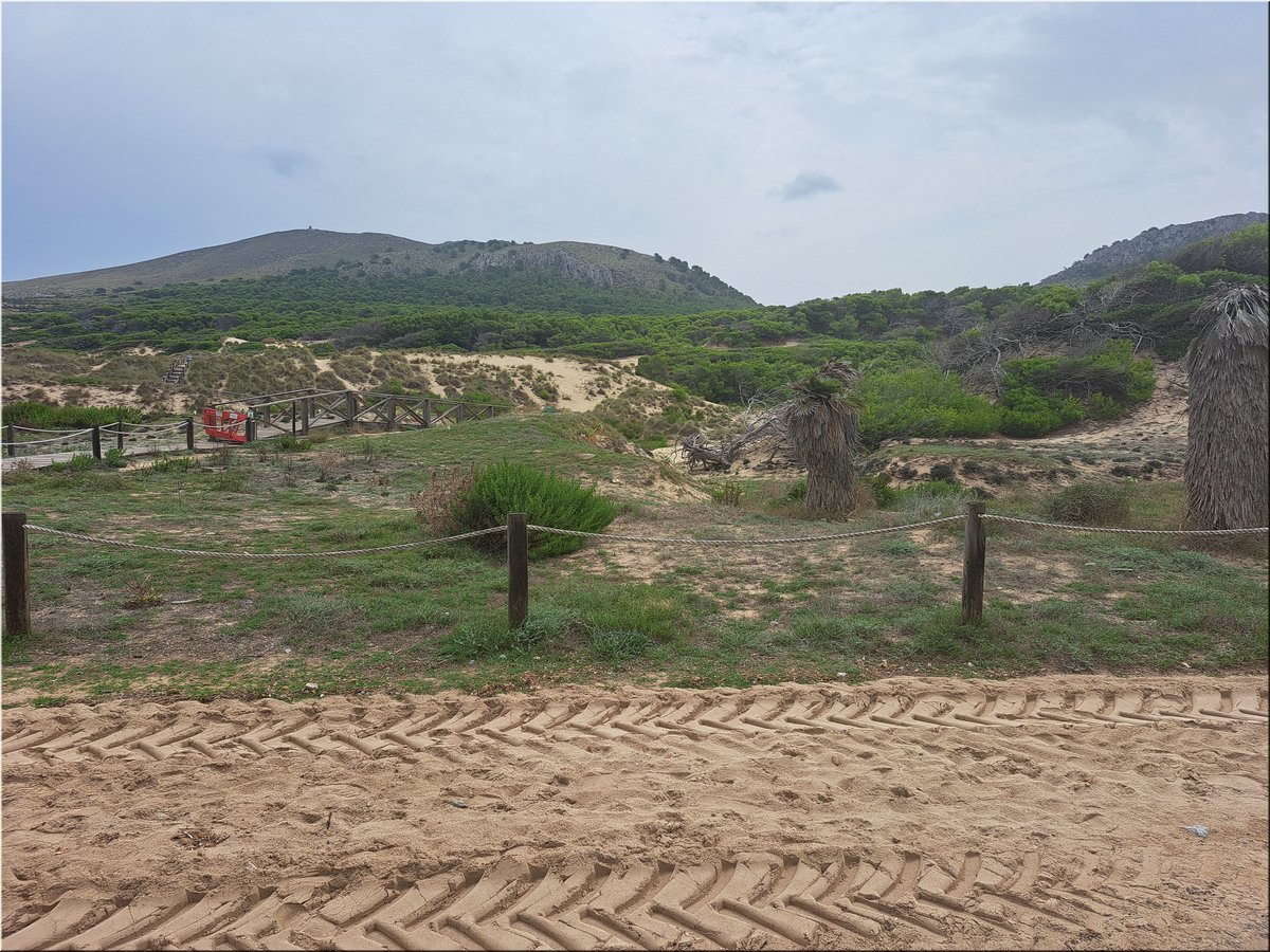 230903-Mallorca-130914.jpg