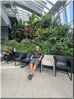 250728-Londyn-113235SkyGarden_Ad.jpg