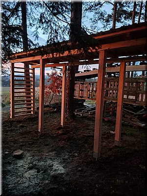 251113-pergola-wa1.jpg