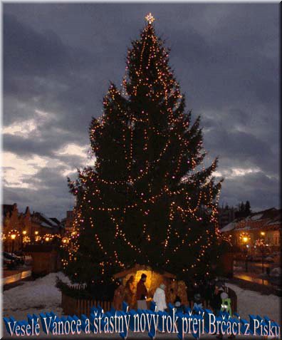 PF2011_PavelBrcak.jpg