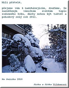 PF2011_JiriVildner.jpg