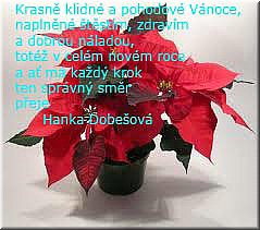 PF2014_HanaDobeska.jpg