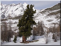 070217 122 Zermatt.JPG