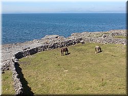 070822-Irsko-722_Toni.jpg