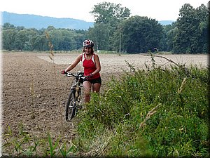 080811-BBCC-Sedlacek-674_Toni.jpg