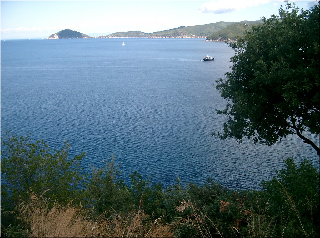 080917-BBCC-Tosca-Elba-210_Brc.JPG