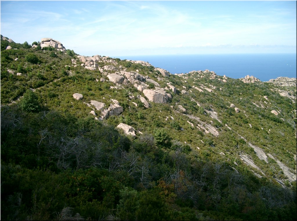 080917-BBCC-Tosca-Elba-237_Brc.JPG