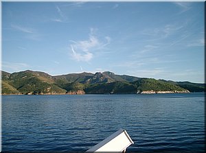 080917-BBCC-Tosca-Elba-264_Brc.JPG