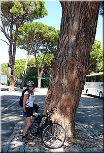 080917-BBCC-Tosca-more-740_Toni.jpg
