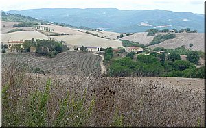 080918-BBCC-Tosca-LuisaEtc-859_Toni.jpg