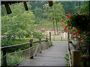090619-BBCC-Povetrniky-671.JPG
