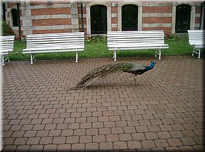 090619-BBCC-Povetrniky-728.JPG