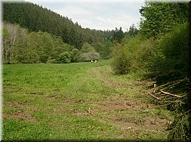 100523-BBCC-Rabstejn-93_Brc.JPG