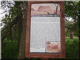 100522-BBCC-Rabstejn-218_PP.JPG