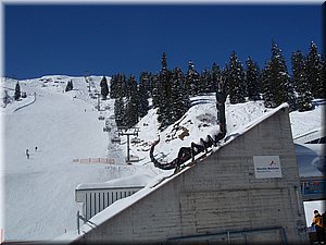 110321-nasnehu-222_PP.JPG