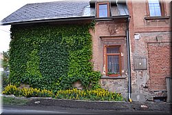 110618-BBCC-Drevenka-09_BrcN.JPG