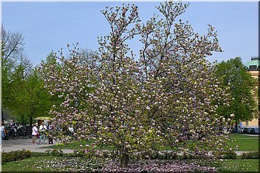 150425-PrahaKubisticka-11o.JPG
