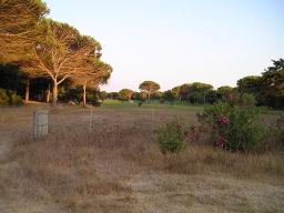 Sardinie-Brc-030712_064.JPG