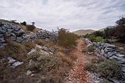 040916-yachta-Ante-083_JirkaScan.jpg