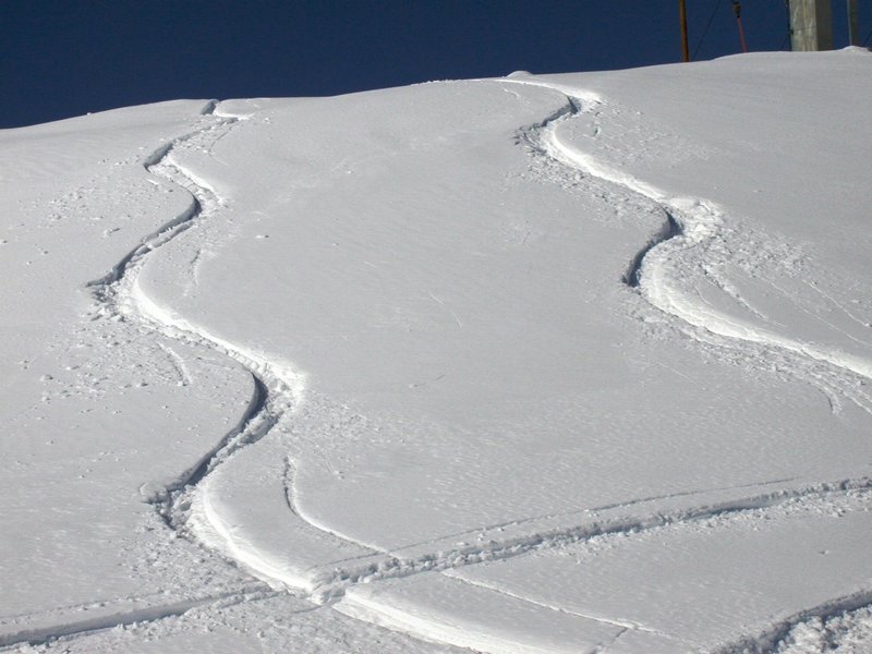 050311-BBCC-Mont-208_VP.JPG