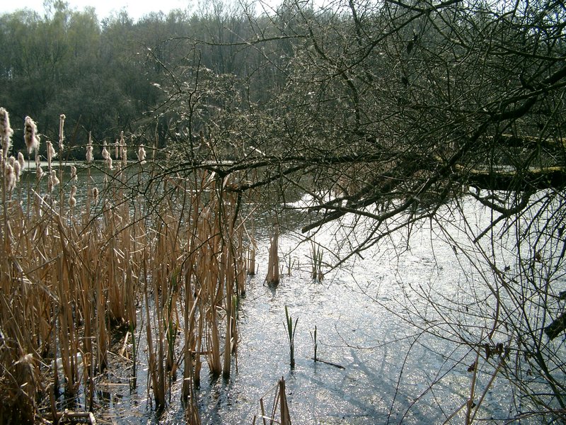 050416-Okor-424_Brc.JPG