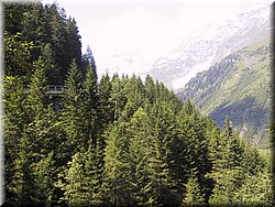 050811-GrosGlockner-08.JPG