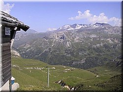 050811-GrosGlockner-29.JPG