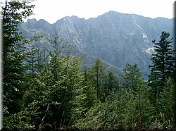 050813-Slovinsko-070_Brc.JPG
