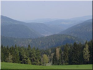 060508-Prasily-987.JPG