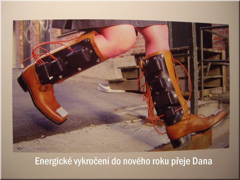 PF2008-DanaMachna-EnergickeVykroceni800.jpg