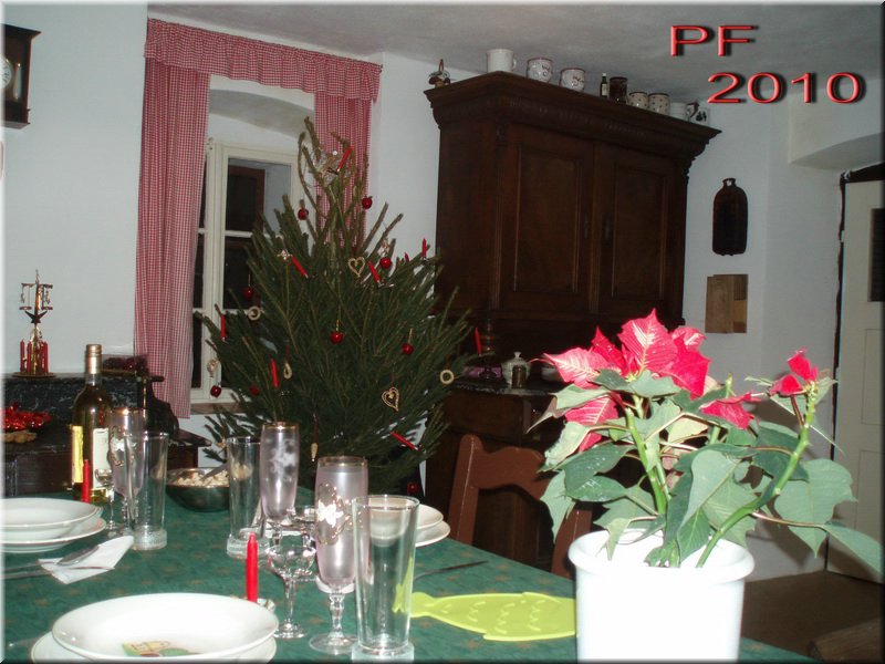 PF2010-Gabina.jpg