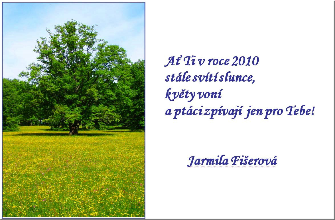 PF2010-JarmilaFiserova.jpg