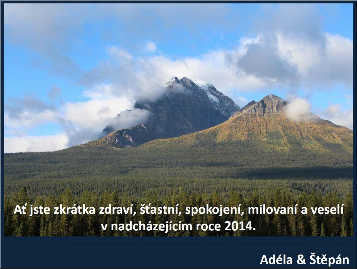 PF2014_Adela-Stepan.jpg