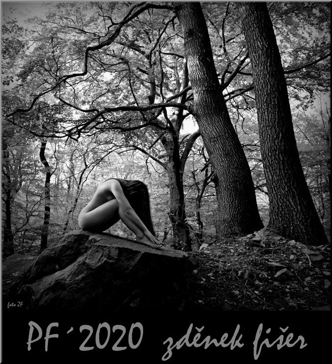 PF2020-FiserZdenek.jpg