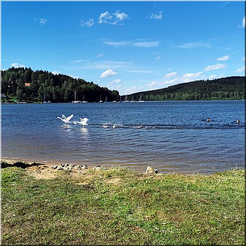 06LabuteVyton.jpg 06LabuteVyton.jpg