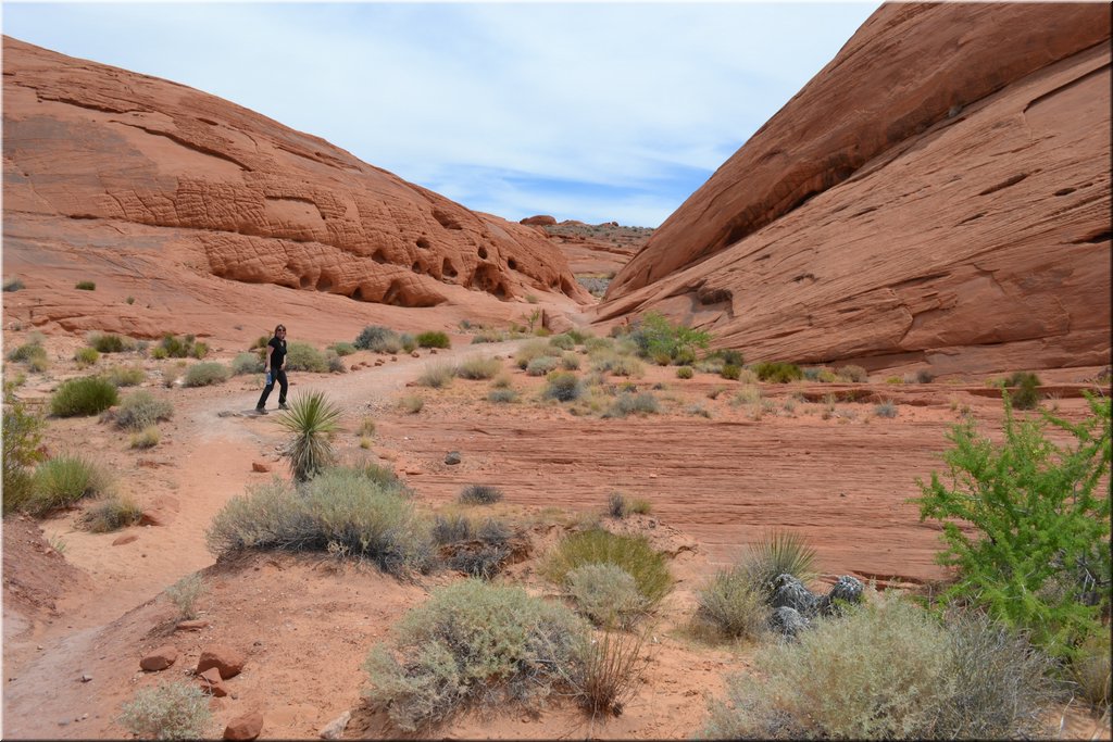 130521-USA-1ValleyOfFire-0182.JPG