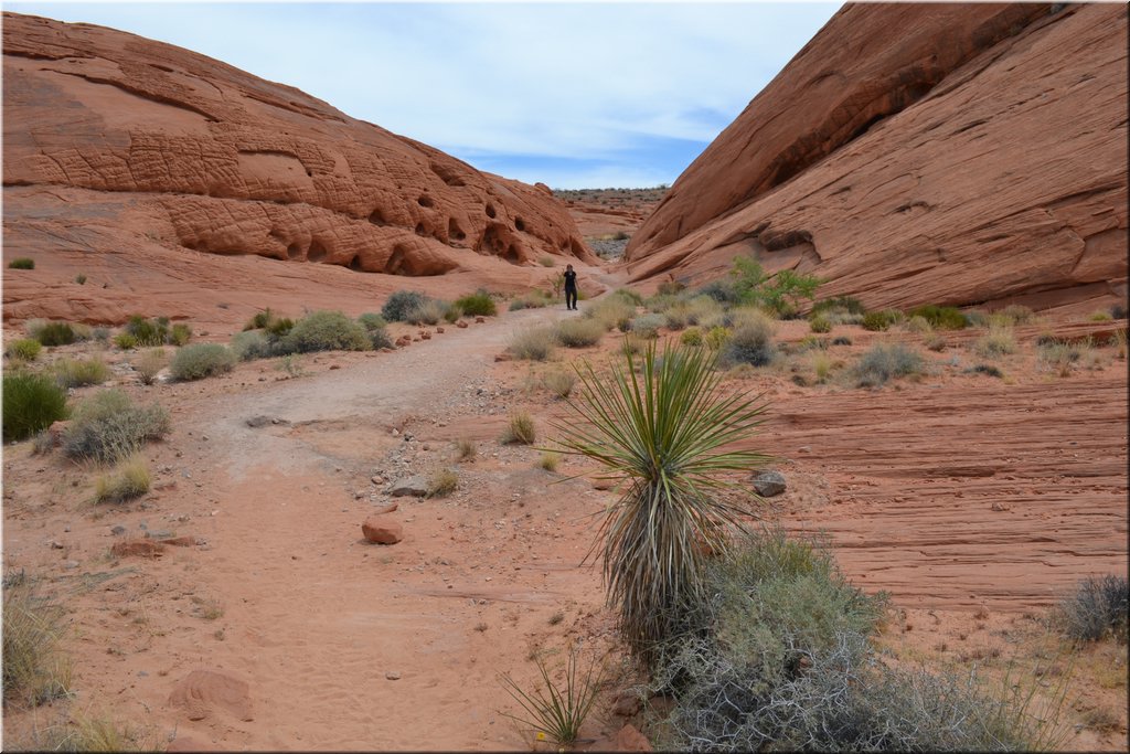 130521-USA-1ValleyOfFire-0184.JPG