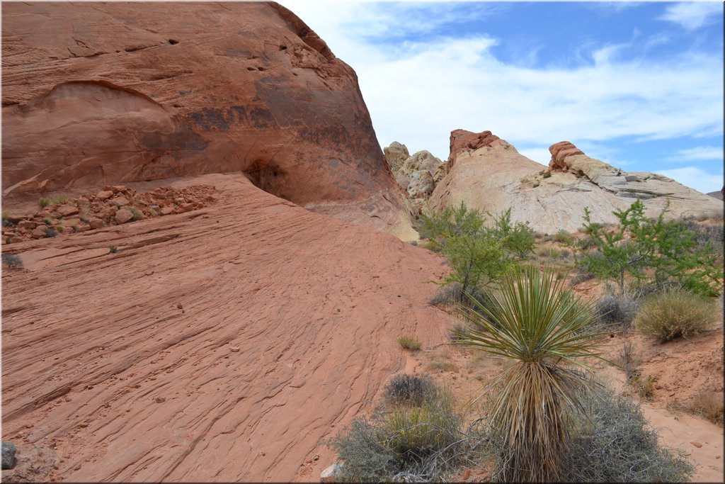 130521-USA-1ValleyOfFire-0185.JPG