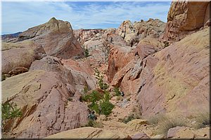 130521-USA-1ValleyOfFire-0147.JPG