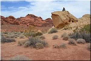 130521-USA-1ValleyOfFire-0178.JPG