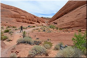 130521-USA-1ValleyOfFire-0182.JPG