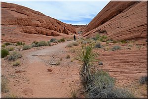 130521-USA-1ValleyOfFire-0184.JPG