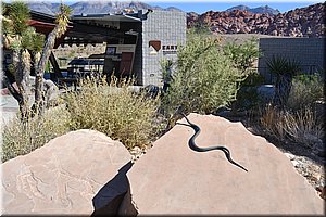 130522-USA-RedRocks-0307.JPG