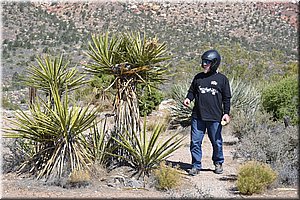 130522-USA-RedRocks-0329.JPG