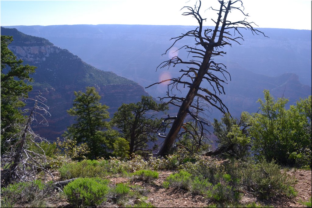 130523-USA-1GrandCanyon-0349.JPG