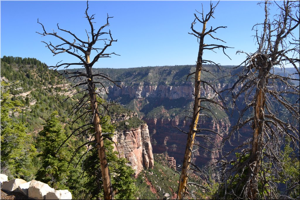 130523-USA-1GrandCanyon-0441.JPG