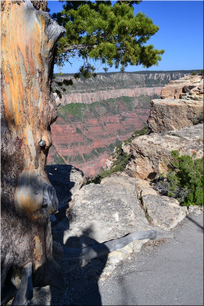 130523-USA-1GrandCanyon-0452.JPG