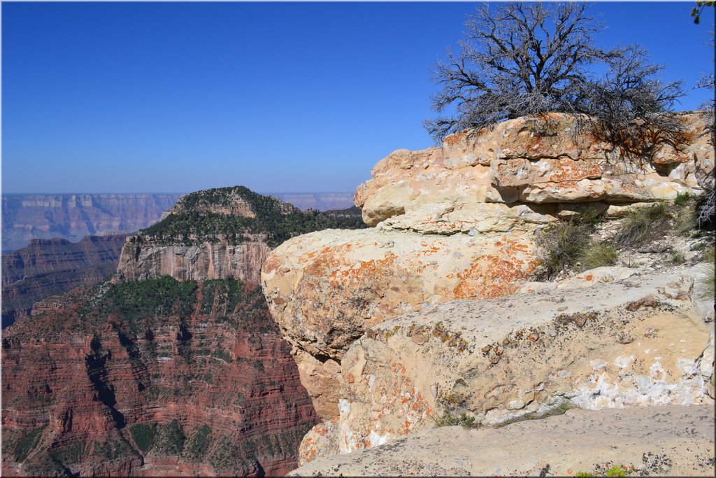 130523-USA-1GrandCanyon-0461.JPG