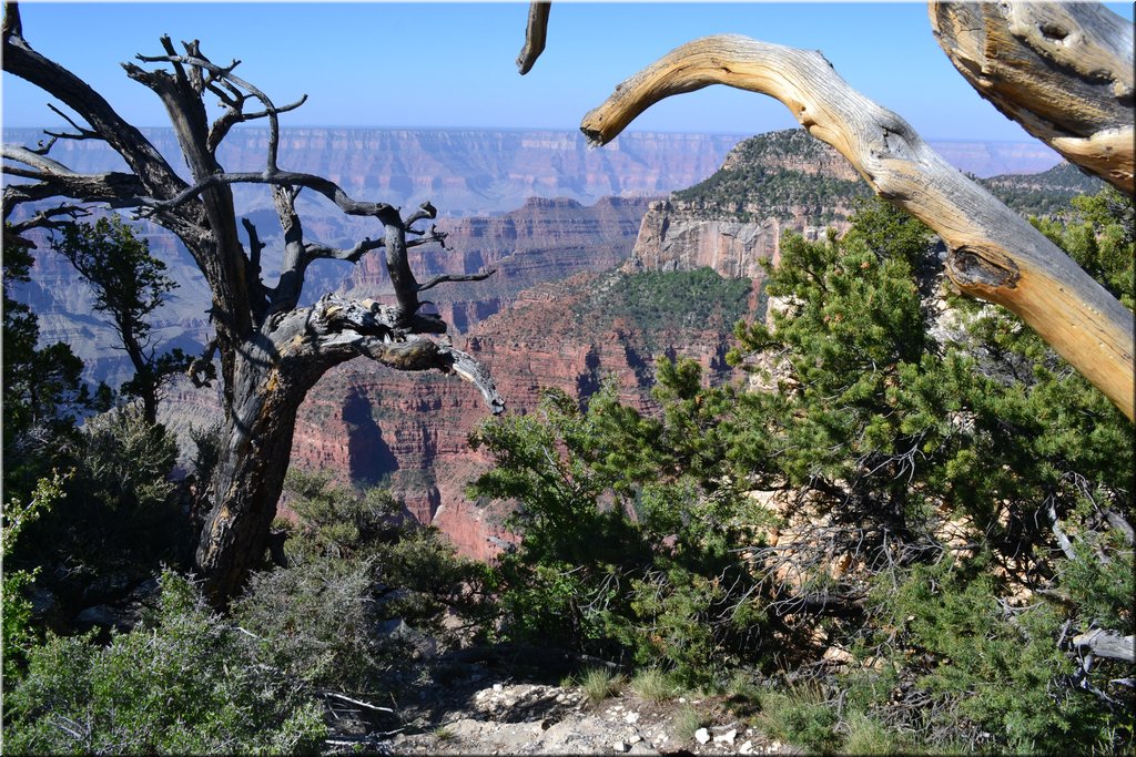 130523-USA-1GrandCanyon-0468.JPG