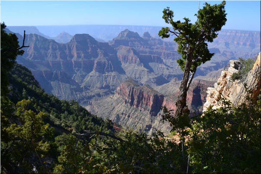 130523-USA-1GrandCanyon-0475.JPG